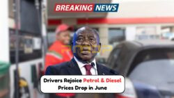 June 2025 Fuel Relief: Petrol and Diesel Prices Slashed – South Africans Can Expect Major Savings Across Provinces