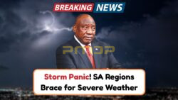 Weather Department & SASSA Warn of Red Alert Storms – Gauteng, KZN & Eastern Cape at High Risk