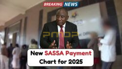 2025 SASSA Grant Increases: Detailed Overview of Highest Payouts and Qualification Criteria