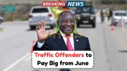 New RTO Penalty List Effective June 1, 2025 – Check Updated Traffic Fines Now